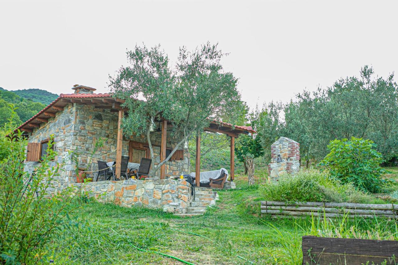 Xenonas Home Larissa Exterior photo